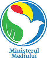 Partner 6